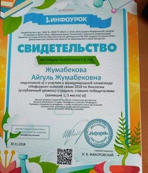 30.11.2018.Международная олимпиада "Инфоурок" Осенний сезон
