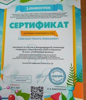 30.11.2018.Международная олимпиада "Инфоурок" Осенний сезон