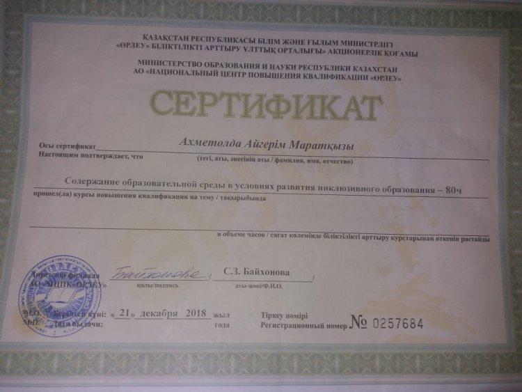 Сертификат по курсу инклюзивного образования