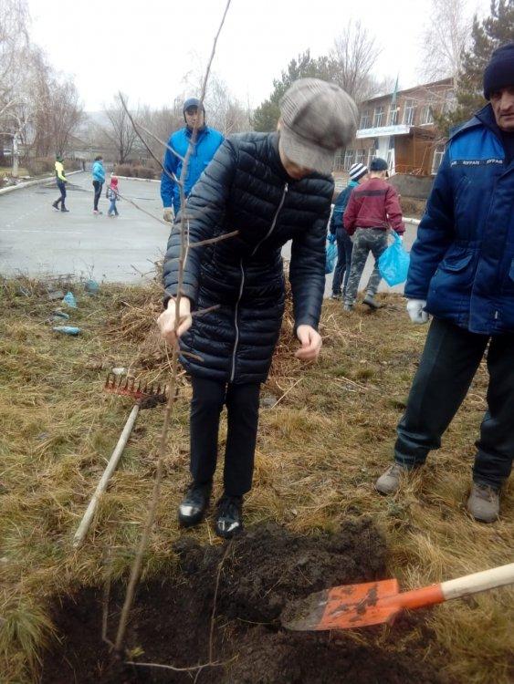 06.04.2019. Посадка деревьев на субботнике - учителя, родители и школьники