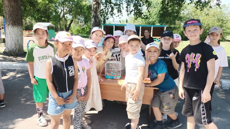 Мектеп жанындағы лагерьдің бірінші аптасының қорытындысы 2.06.2025-5.06. 2025 жыл